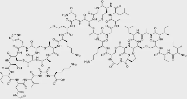 The Natural Guardian of the Food Industry: What is Nisin and How is it Used?